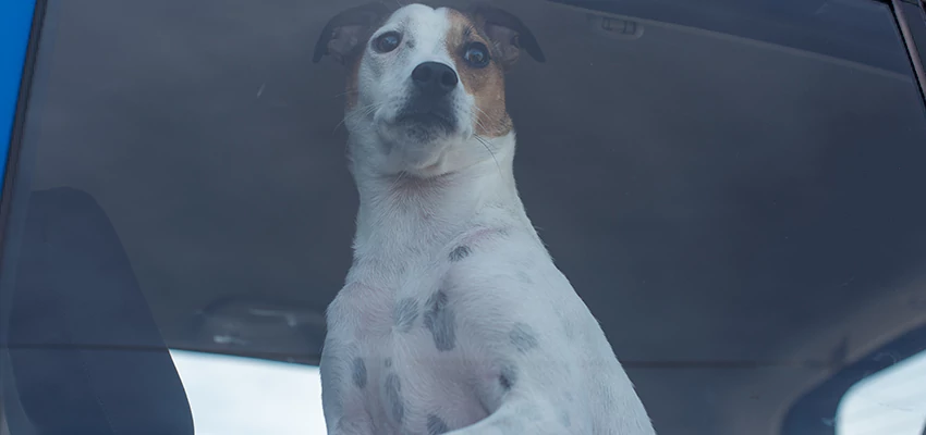 Car Lockout Solutions in Valley Center, California